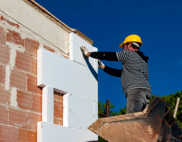 Best Local Insulation Services  in Pleasant Prairie, WI